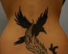 Black bird silhouette with a feather and a lettering, Nevermore, the heavy metal band