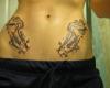 Fishy fishes on each side of the lower belly