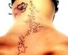 A galaxy of dancing stars down across the spine