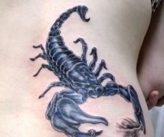 Fatal sting of a scorpion ripping off her skin