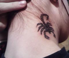 Perfect beware sign represented through a scorpion behind her ear