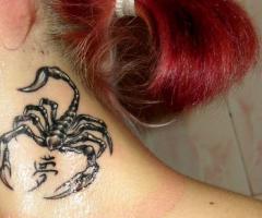 Neat details and great pairing of the creature with a Chinese symbol, which means dream