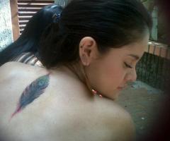 20 Beautiful Ideas of Peacock Feather Tattoo Designs