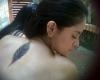 pluma de pavo real