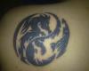 ying yang de dragones