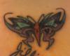 butterfly coverup dedicated to my sister