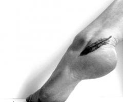20 Adorable Feather Tattoos