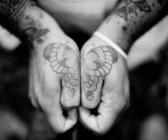 Butterfly tattoos