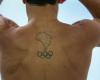 Brazilian diver Hugo Parisi