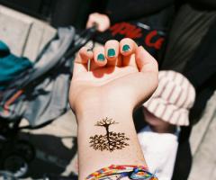 tree, butterflys