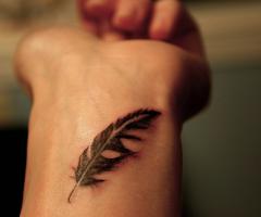 plume