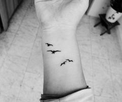 birds on wrist