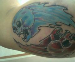 skulls