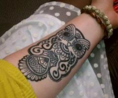 Tribal owl