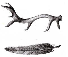 antler and feather