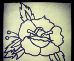 traditional rose