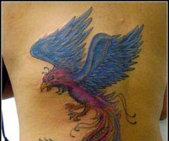 Phoenix tattoos for men and women