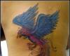 fenix