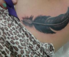 Pluma en la costilla