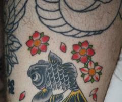 Baby Koi