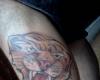 Rostro de Tigre