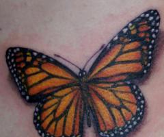 Butterfly tattoos