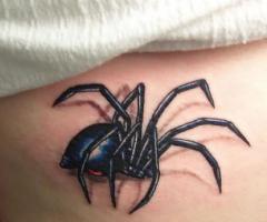 Spider realist tattoo