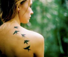 Sexy birds on back