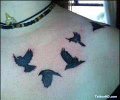 Birds on chest