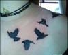 Birds on chest