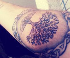 tree of life