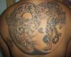 Yin and Yang con dragon y tigre