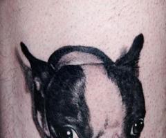 French Bulldog tattoo