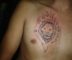 leon en pura linea