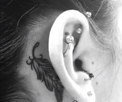 Owl Feather Tattoos