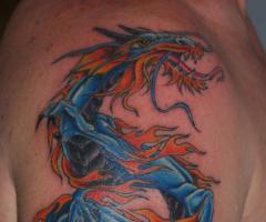 Dragon Tattoos Tattoo Designs
