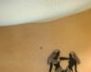 http://www.tattooset.com/images/tattoo/2012/10/16/10528-gemini-tattoo-designs-for-women_tiny.jpg