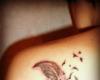 Pluma
