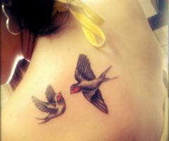 Tatuagens de pombas e seu significado