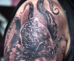 Realistic octopus tatuaje