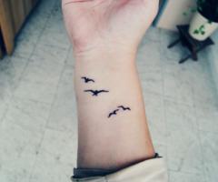 bird