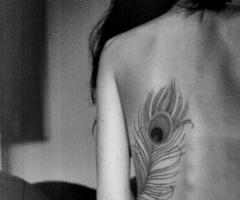 Pluma pavo real