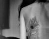 Pluma pavo real