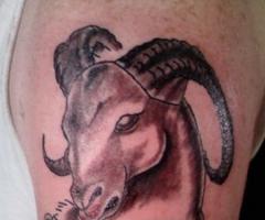 Aries