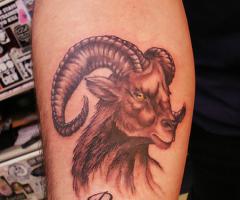 Aries daily horoscope