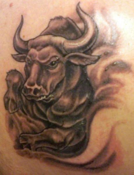 What are the signs of the zodiac