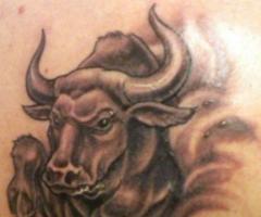 What are the signs of the zodiac