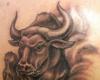 What are the signs of the zodiac