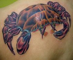 Cancer zodiac
