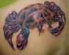 Cancer zodiac